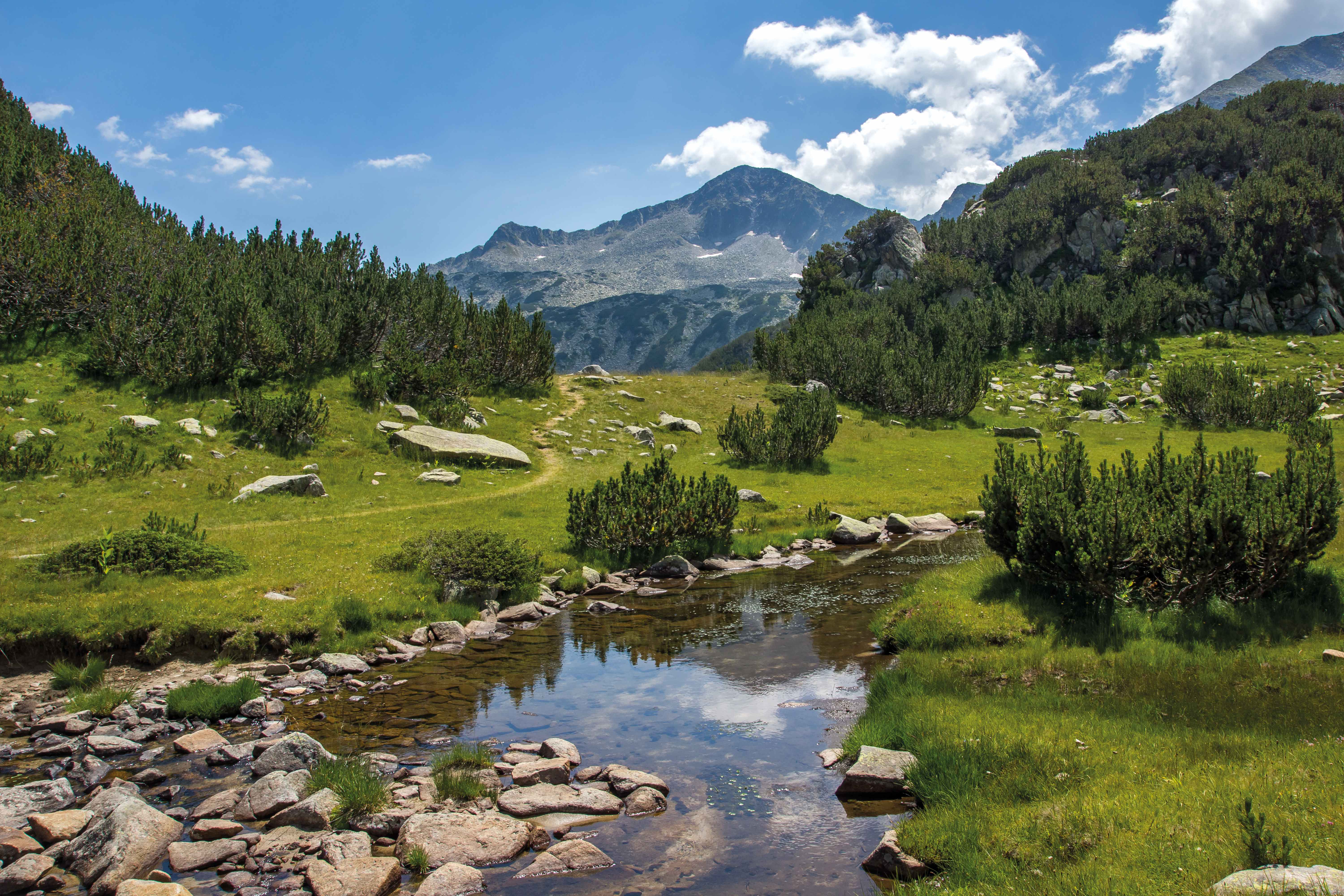 Blick auf das Pirin-Gebirge mit grünen Wiesen und einem klaren Wasserlauf im Vordergrund.
