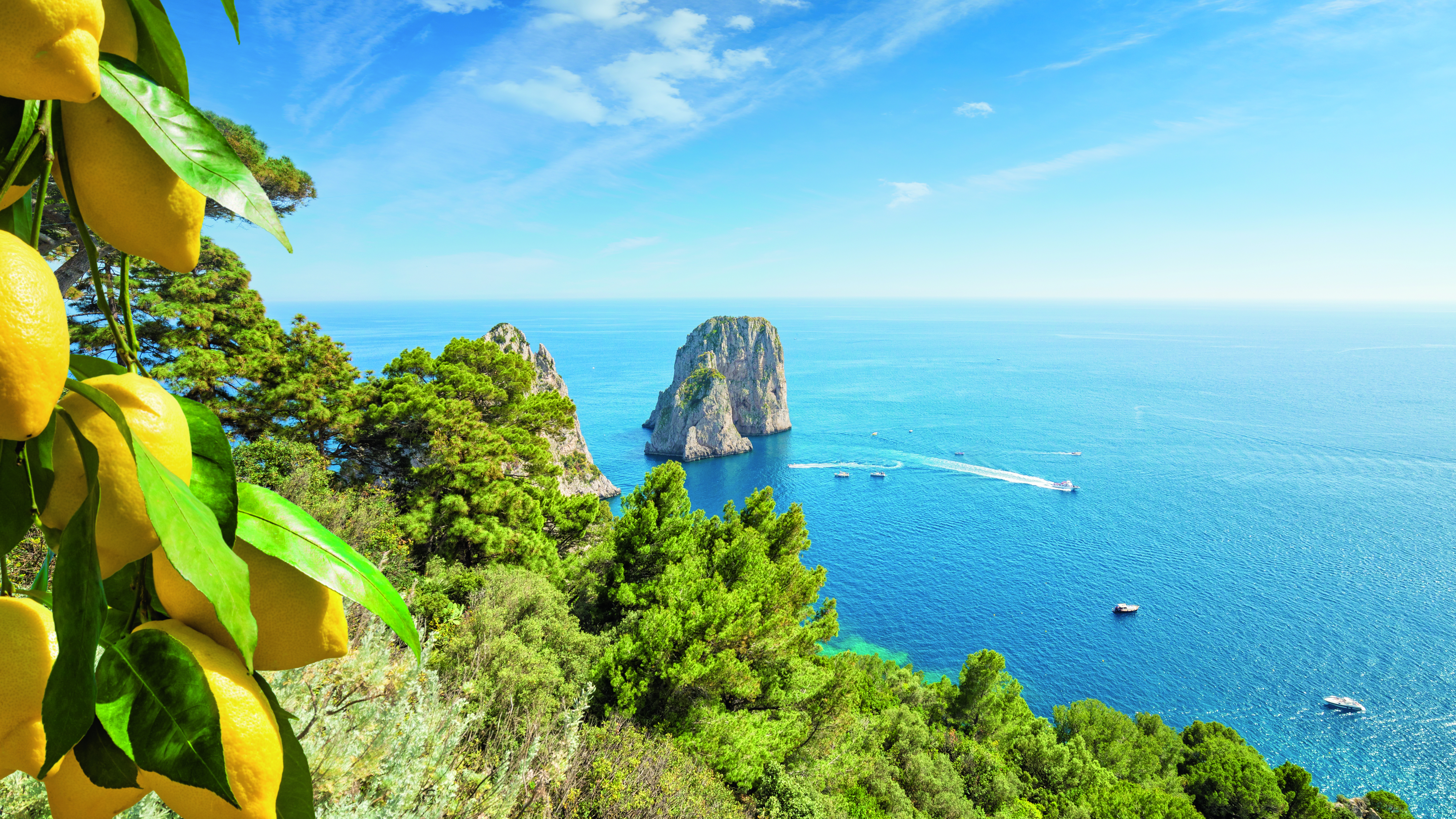 Limonen hängen an einem Baum mit Blick auf die Küste von Capri und das blaue Wasser des Golfs von Neapel.