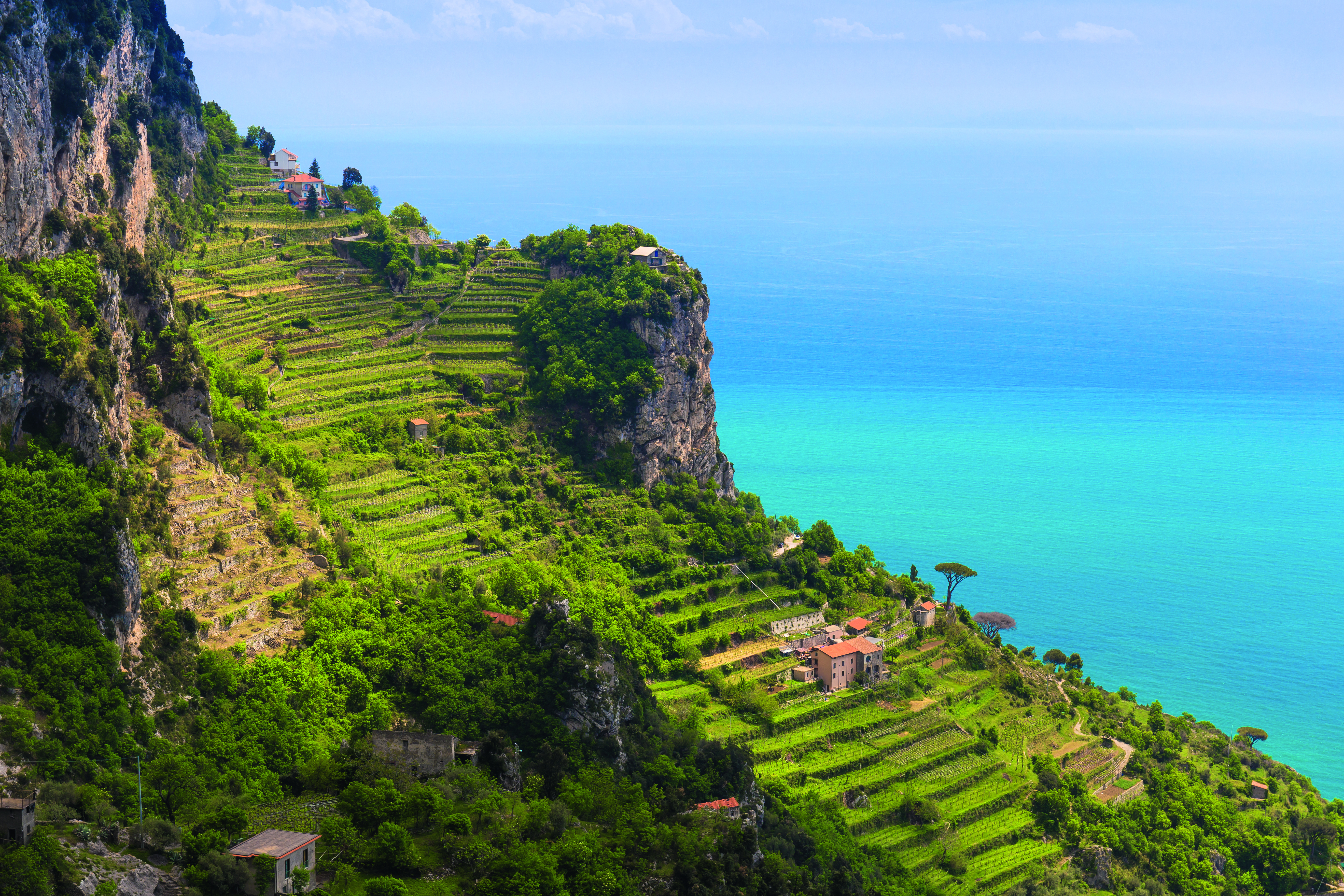 Landschaft mit terrassierten Weinbergen und klarem blauen Wasser im Hintergrund.