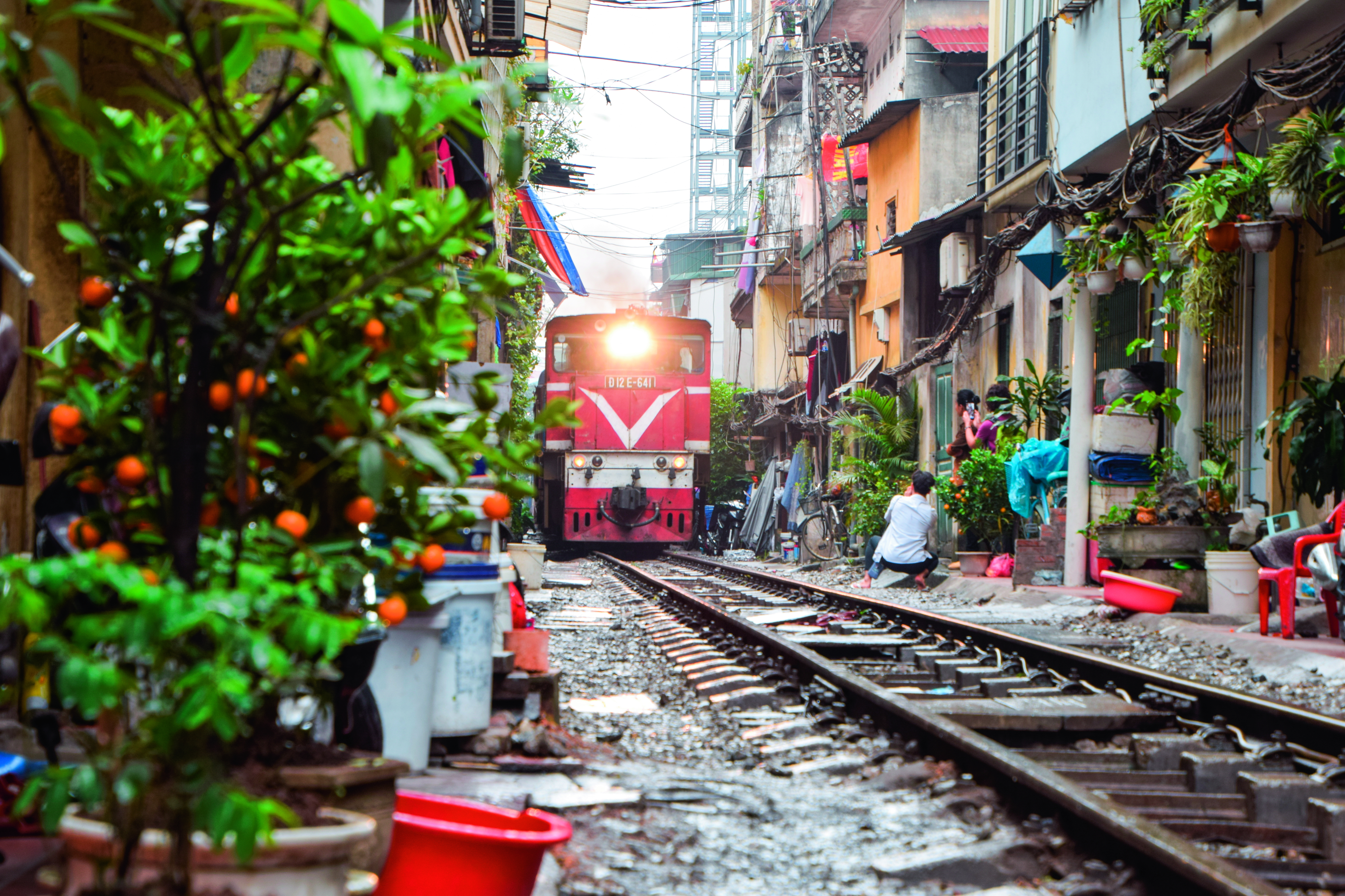 Roter Zug der Vietnam Eisenbahn fährt durch eine enge Straße mit Pflanzen und Häusern in Hanoi.