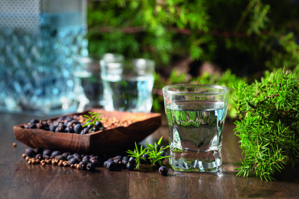 Ein Glas mit klarem Gin, umgeben von Wacholderbeeren und einer Holzschale mit Gewürzen.