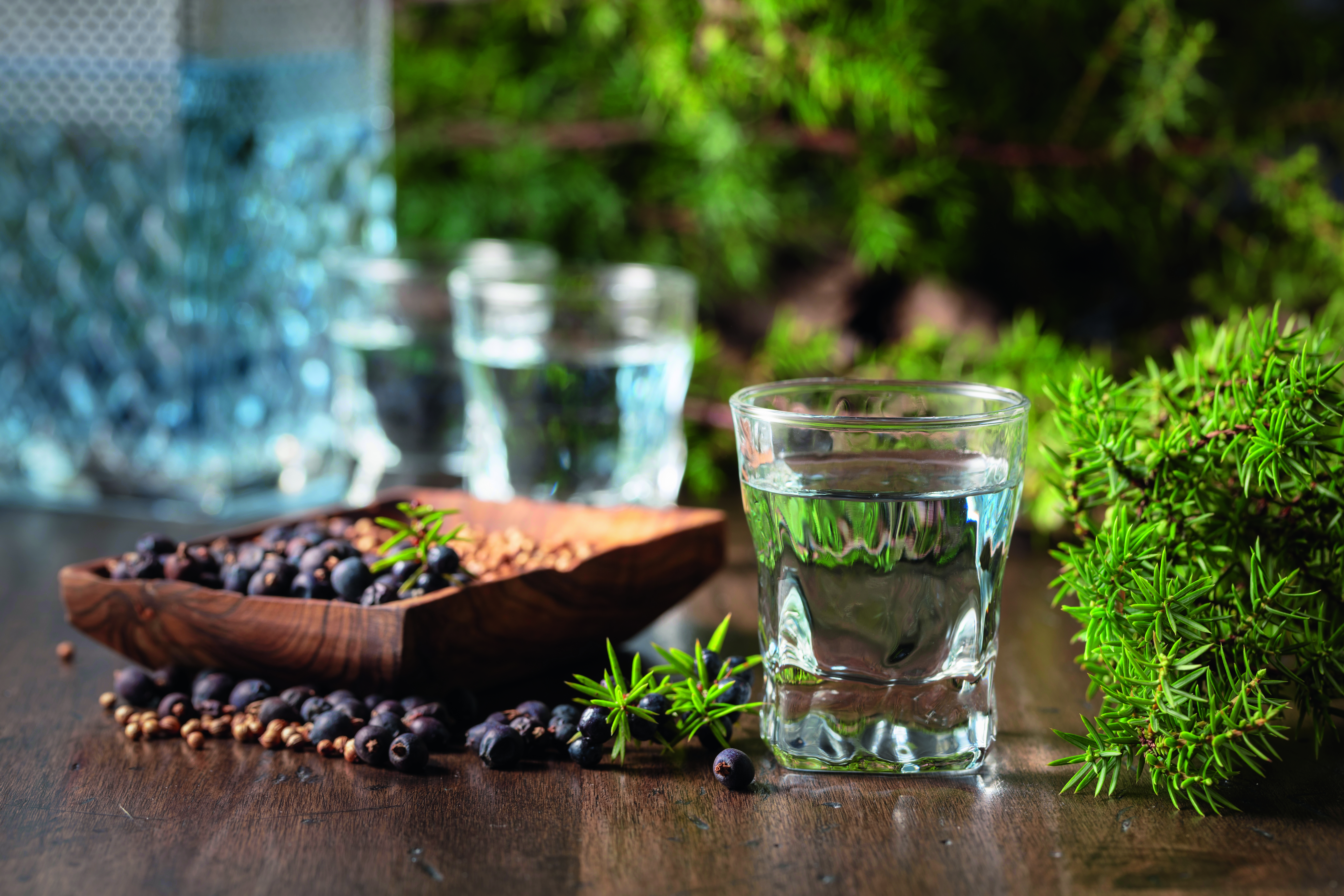 Ein Glas mit klarem Gin, umgeben von Wacholderbeeren und einer Holzschale mit Gewürzen.