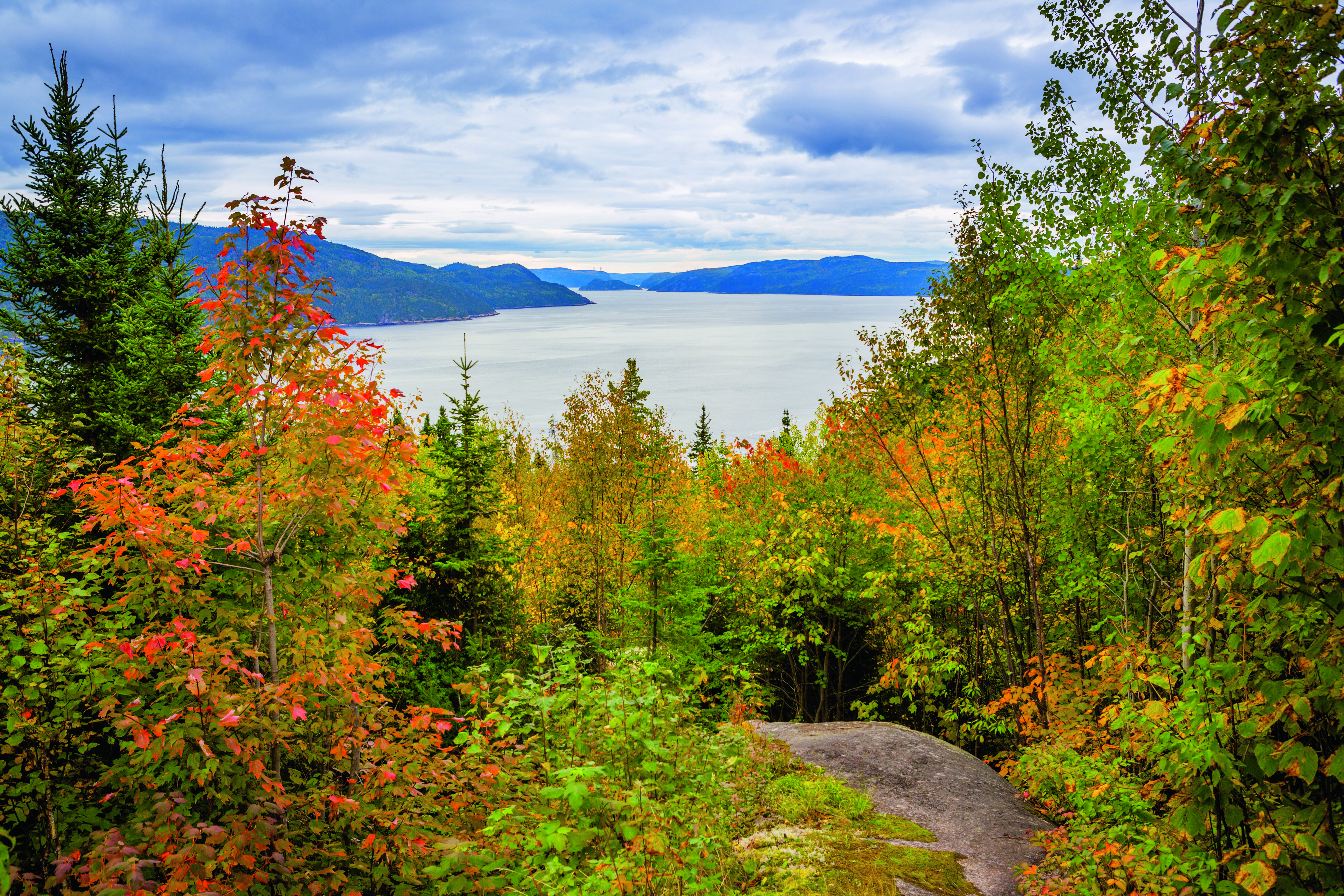 Blick auf einen See umgeben von Bäumen mit buntem Herbstlaub und einem bewölkten Himmel.