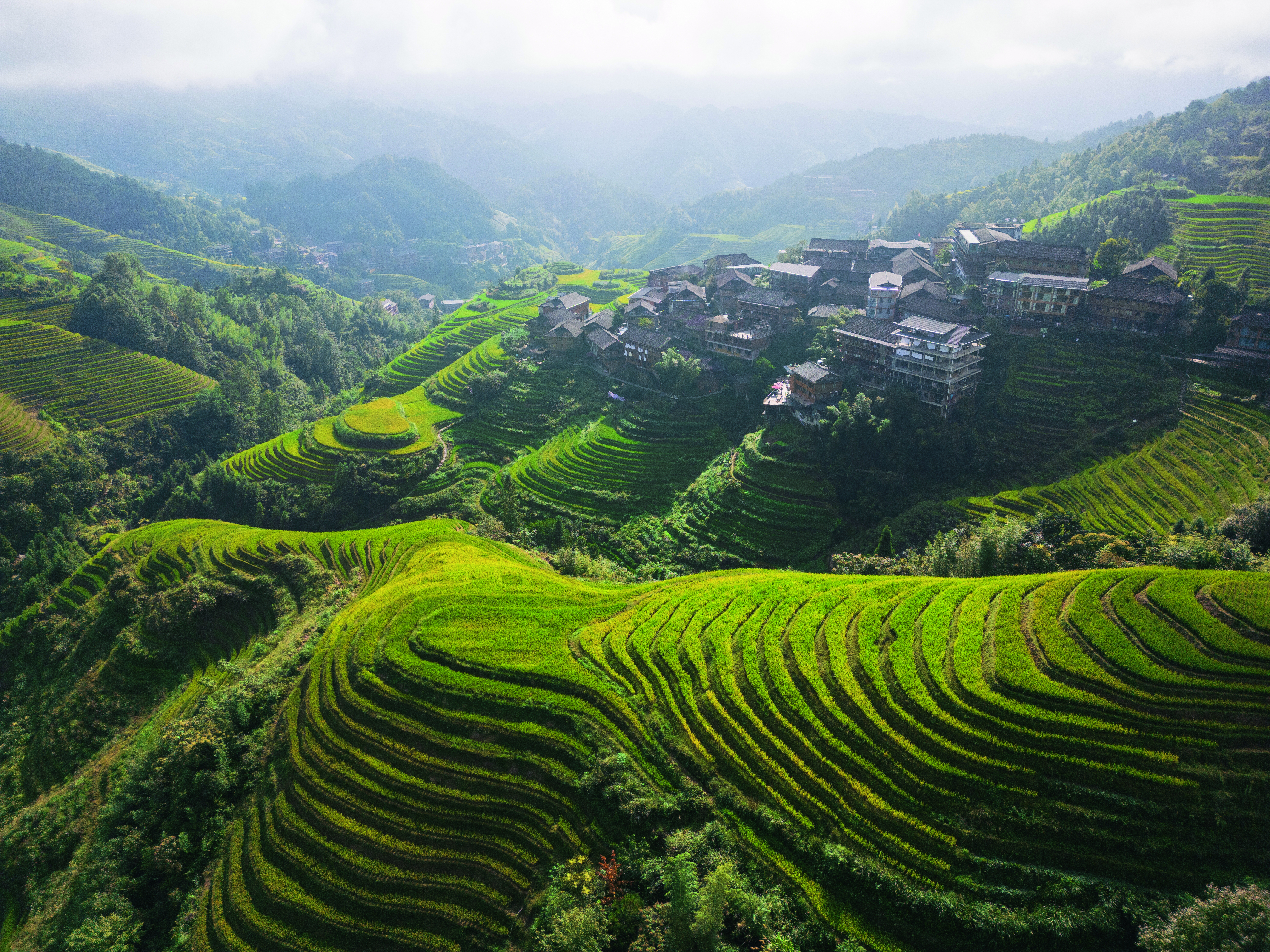 Grüne Reisfeldterrassen mit sanften Hügeln und traditionellen Gebäuden in einer Berglandschaft.
