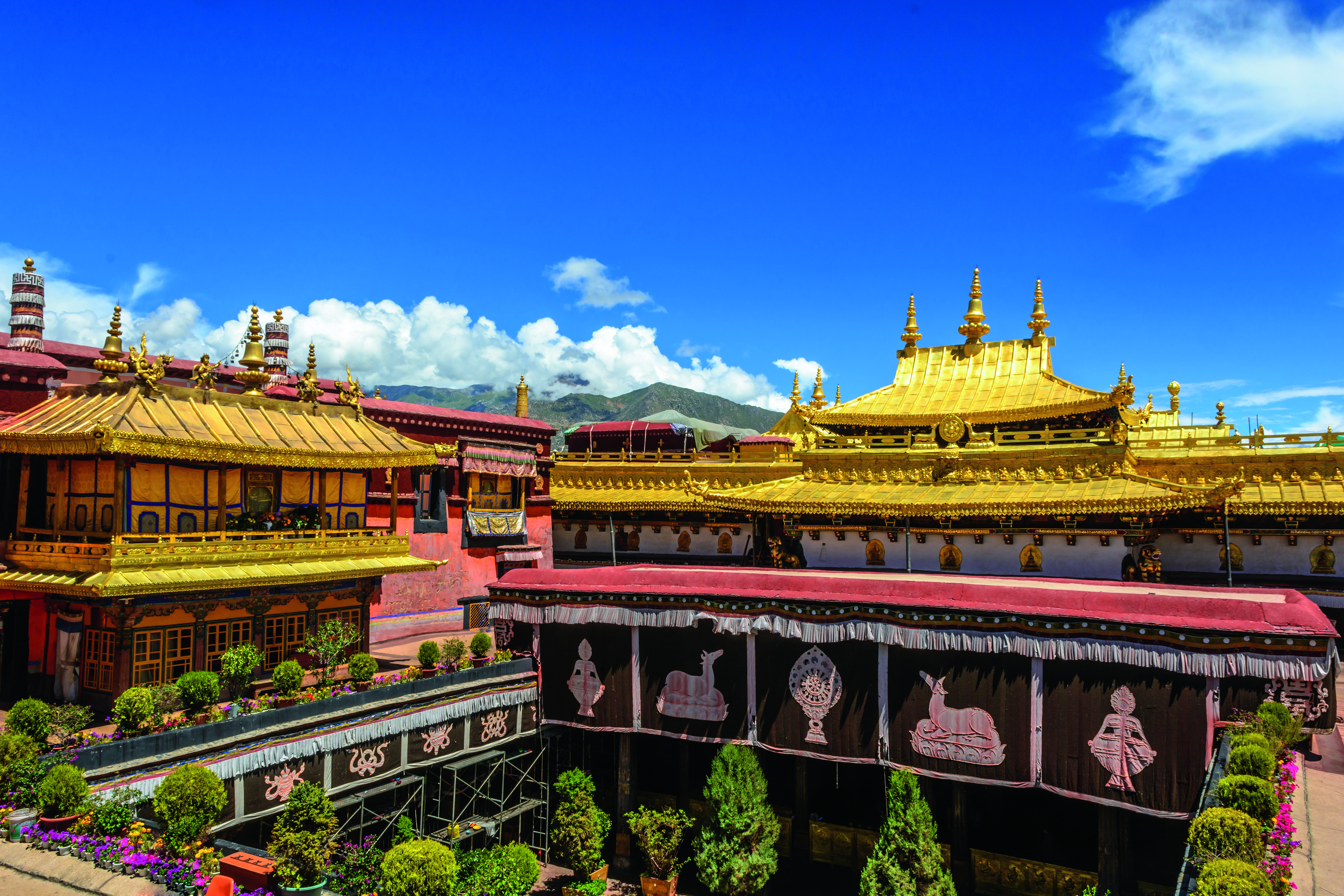 Buddhistische Architektur mit goldenen Dächern und kunstvollen Verzierungen in einem Klosterkomplex.