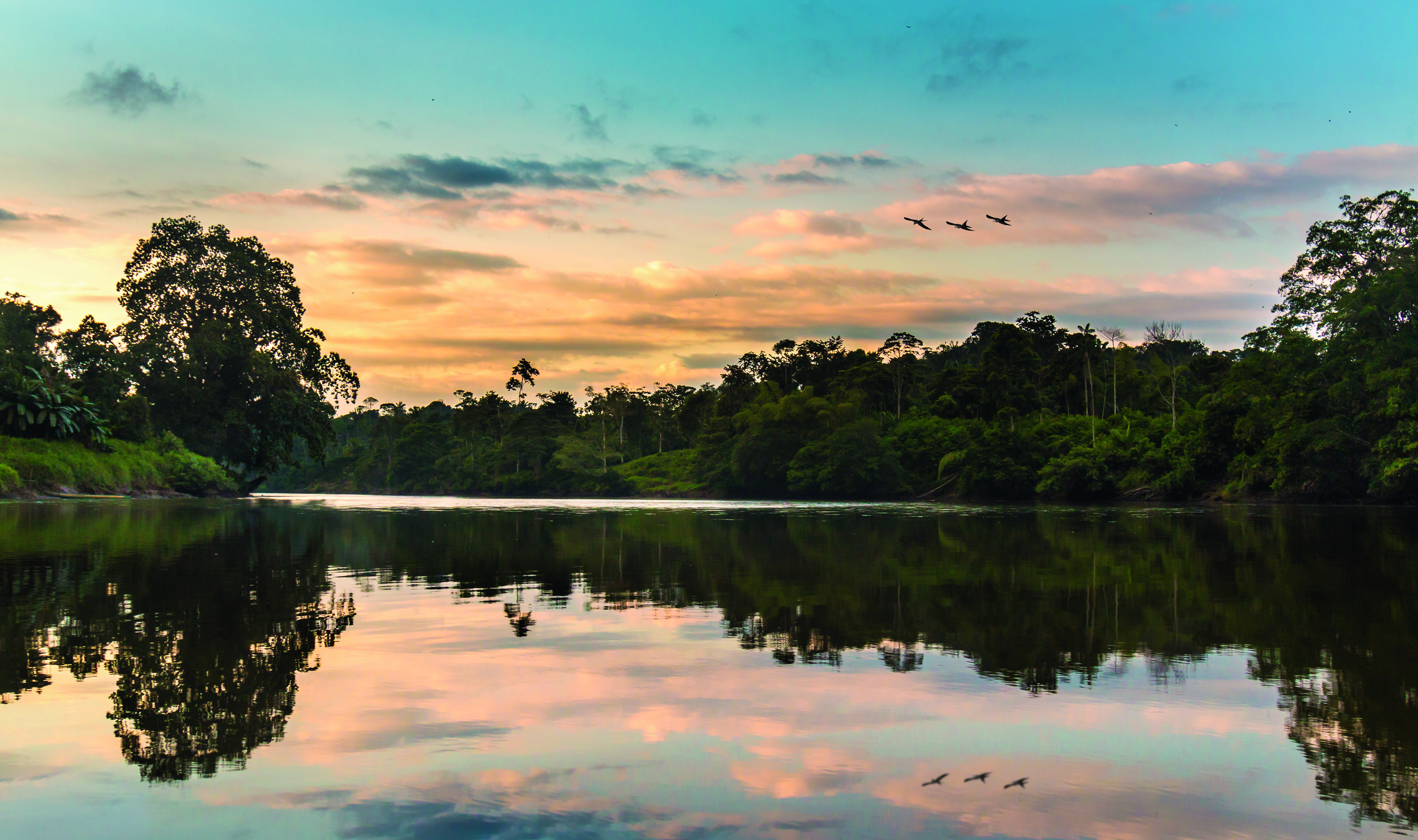 Sonnenuntergang über einem ruhigen Fluss im Amazonasgebiet mit reflektierenden Farben und fliegenden Vögeln.