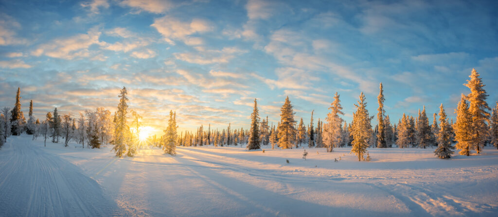Schneebedeckte Landschaft in Finnisch-Lappland mit Sonnenaufgang und Nadelbäumen.
