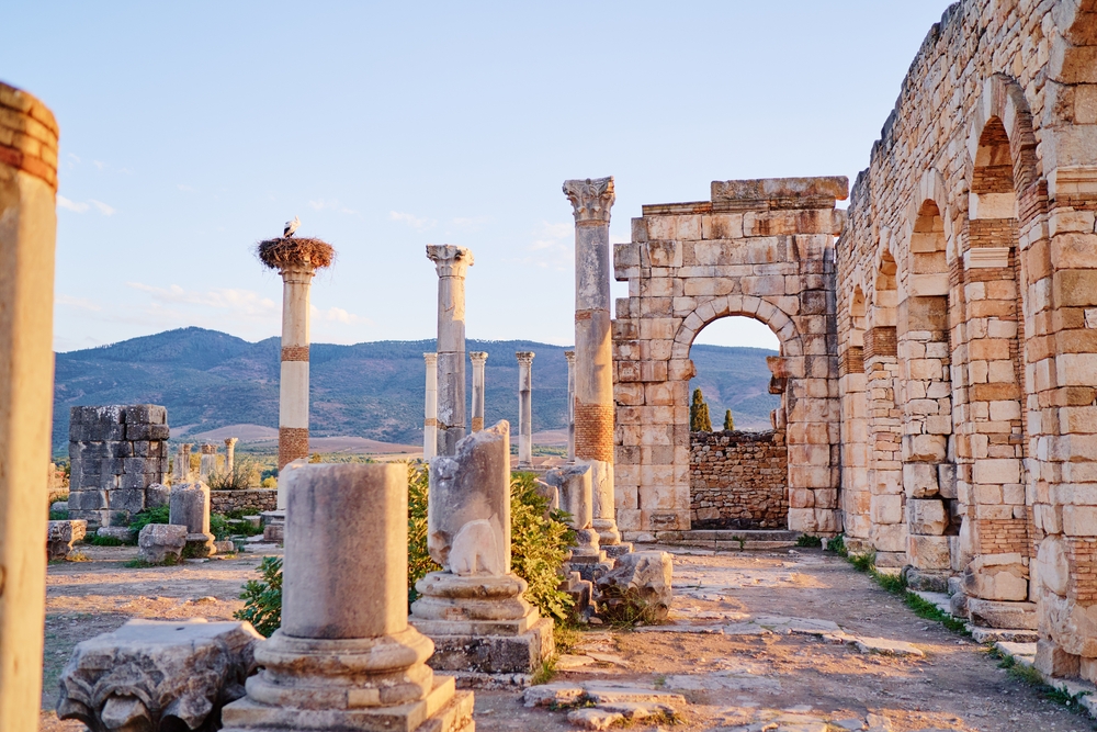 Ruinen der antiken Stadt Volubilis mit Säulen und einem Nistplatz auf einem der Pfeiler.