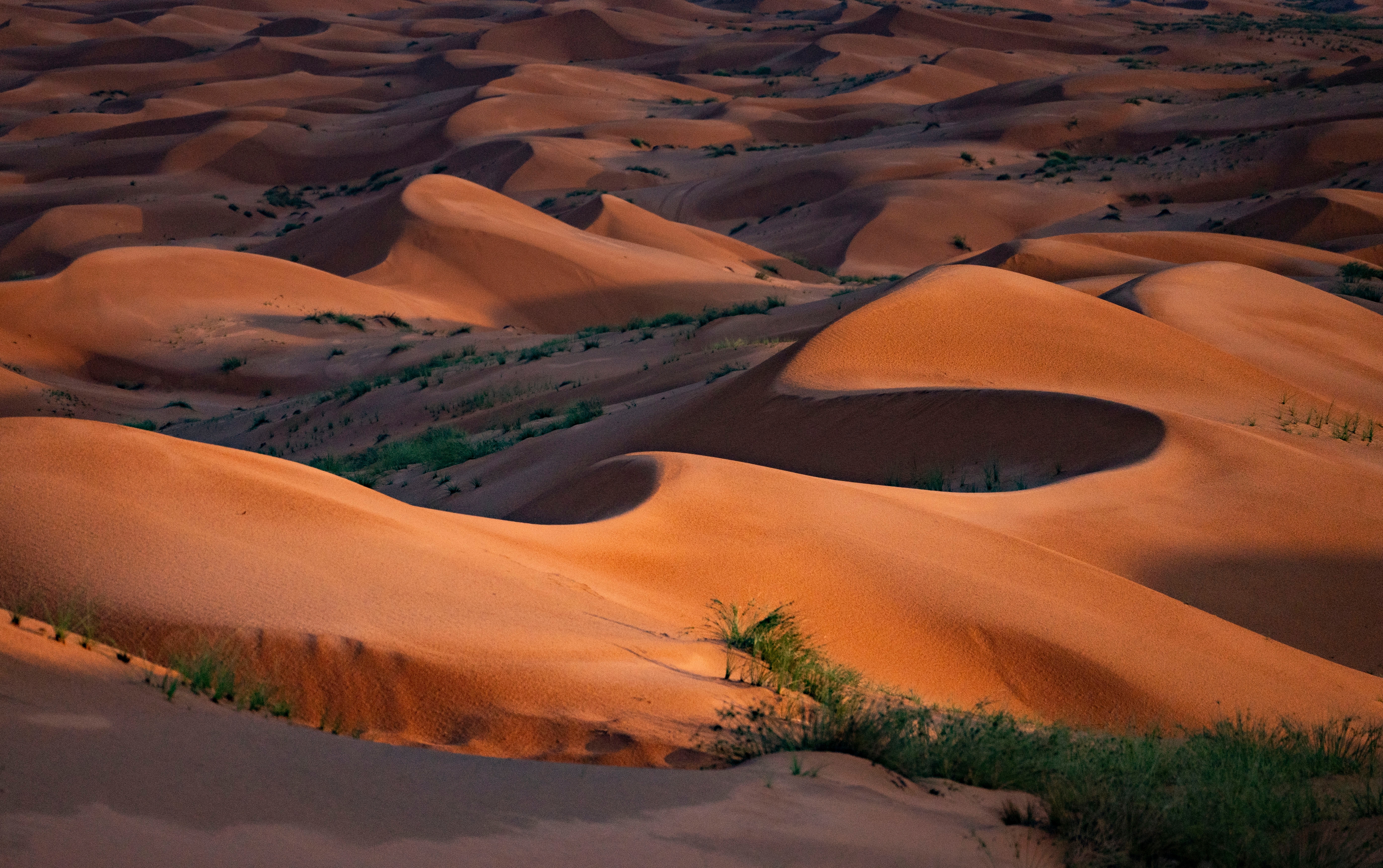 Dünenlandschaft mit sanften, wellenförmigen Sandformationen in warmen Erdtönen.