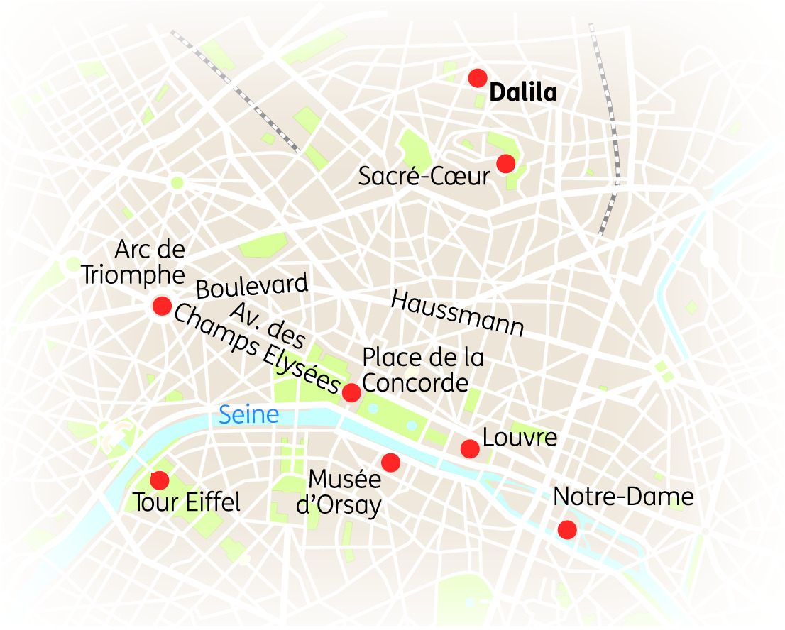 Karte von Paris mit markierten Sehenswürdigkeiten wie dem Louvre, der Seine und der Tour Eiffel.