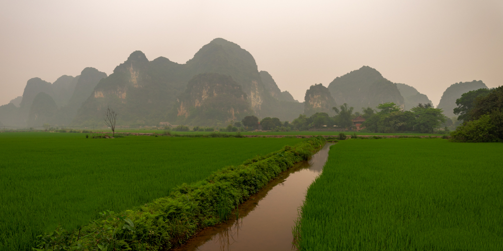 Reisfelder mit Bergen im Hintergrund in Halong Bay, Vietnam, unter einem bewölkten Himmel.