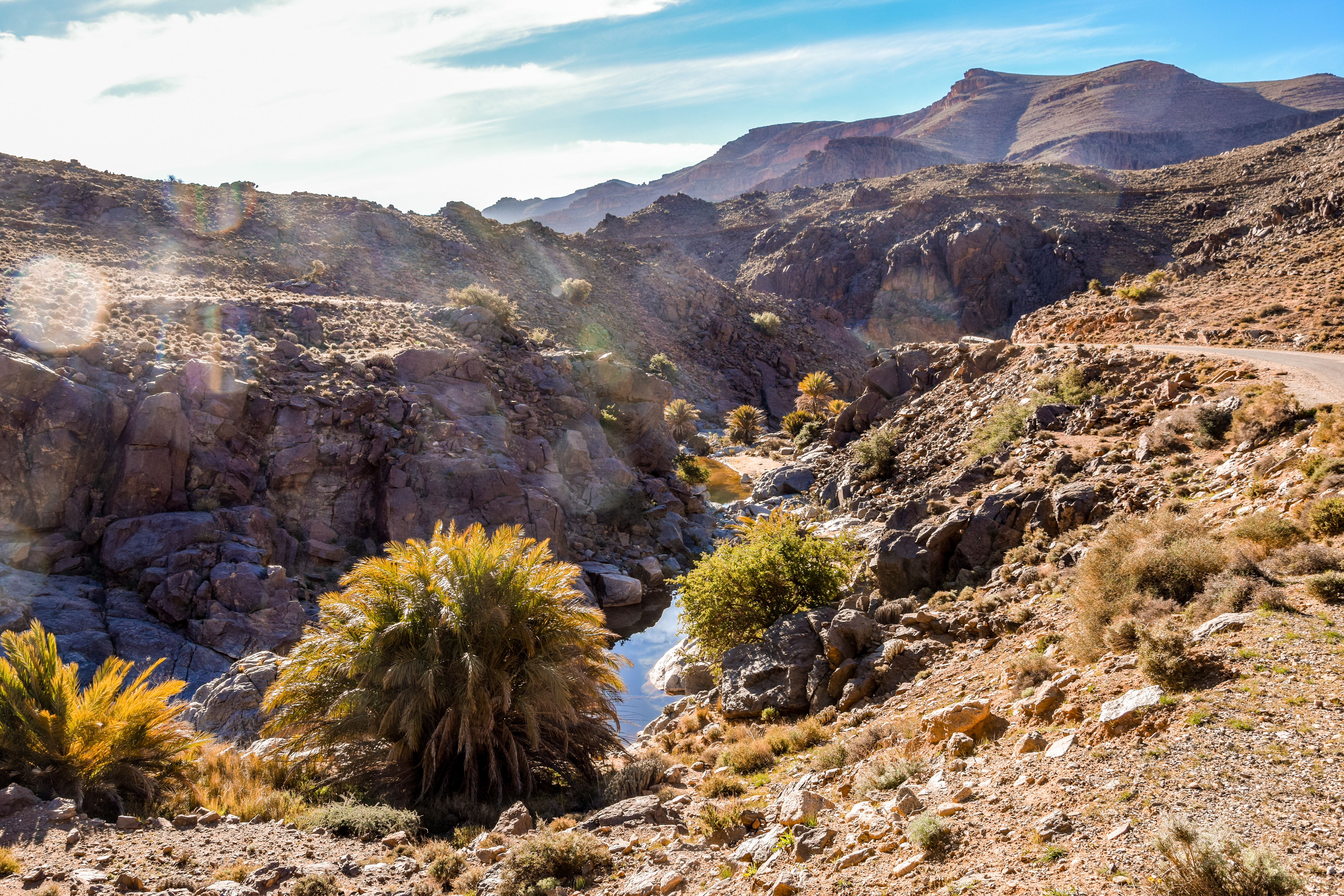 Eine felsige Landschaft mit Palmen und einem kleinen Wasserlauf in einer Schlucht.