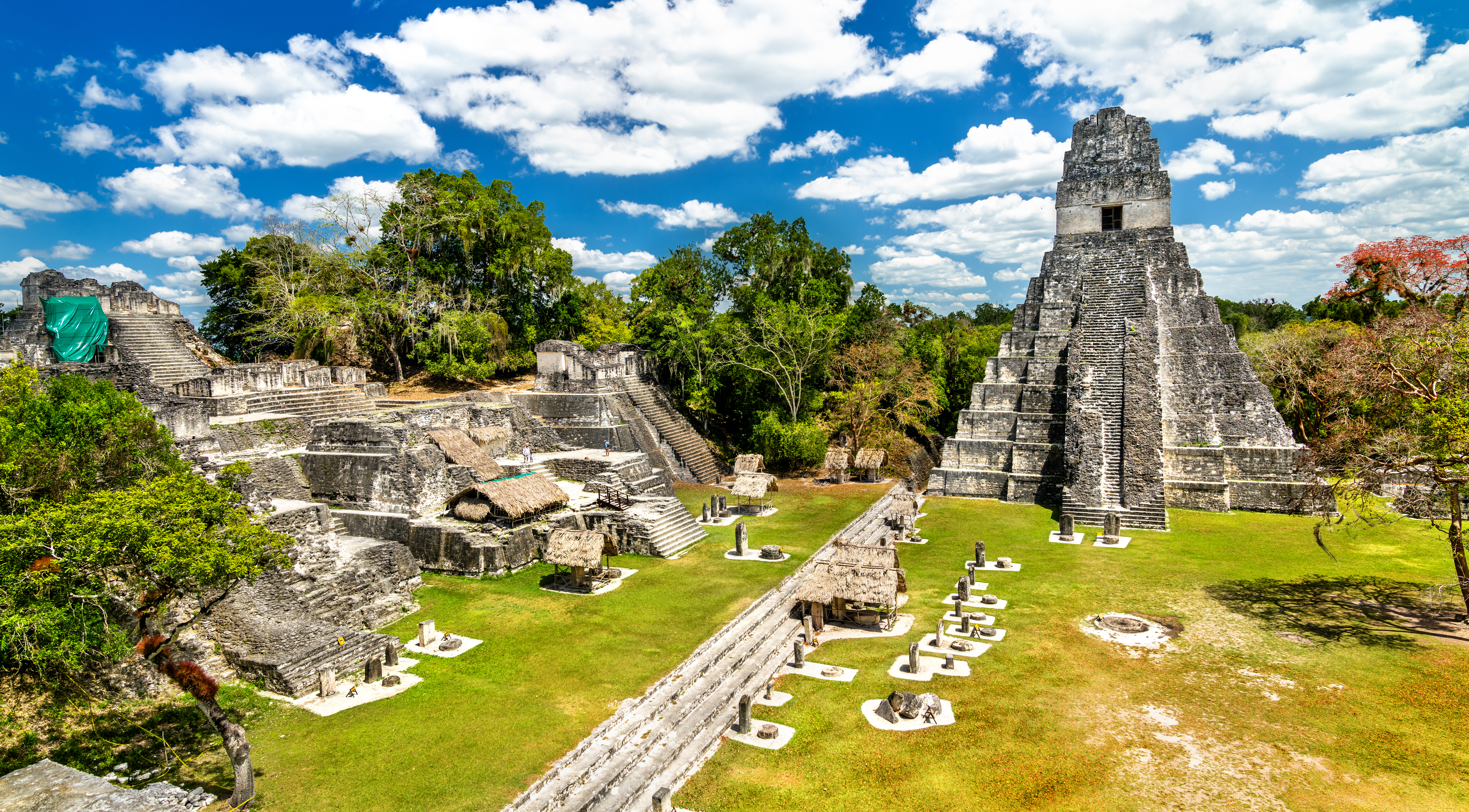 Ruinen der Maya-Stadt Tikal mit einer Pyramide und verschiedenen Strukturen unter einem blauen Himmel.