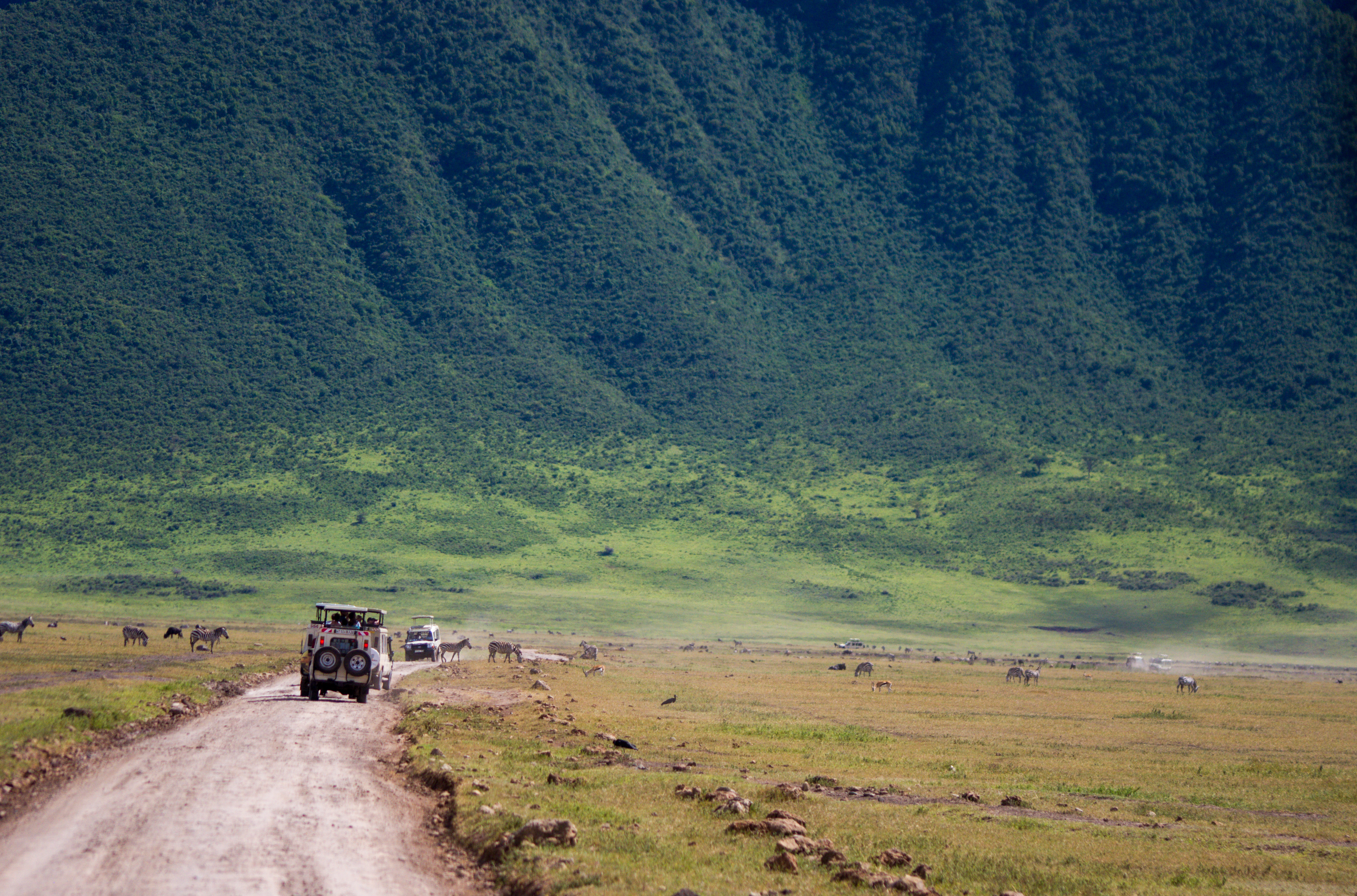 Geländewagen auf einer Schotterstraße in einer grünen Landschaft mit Wildtieren im Hintergrund.