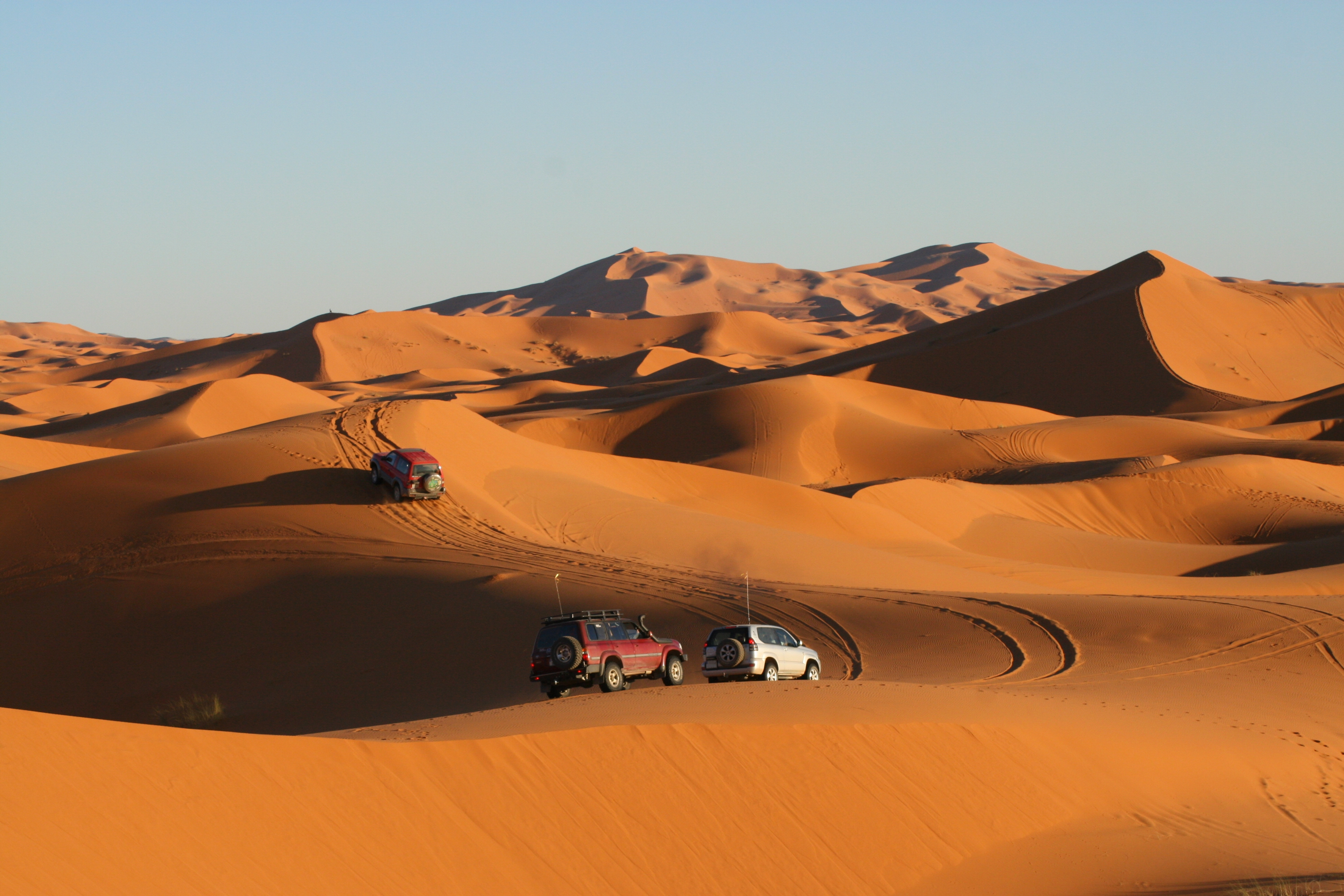 Sanddünen in einer Wüste mit Fahrzeugen, die Spuren im Sand hinterlassen.