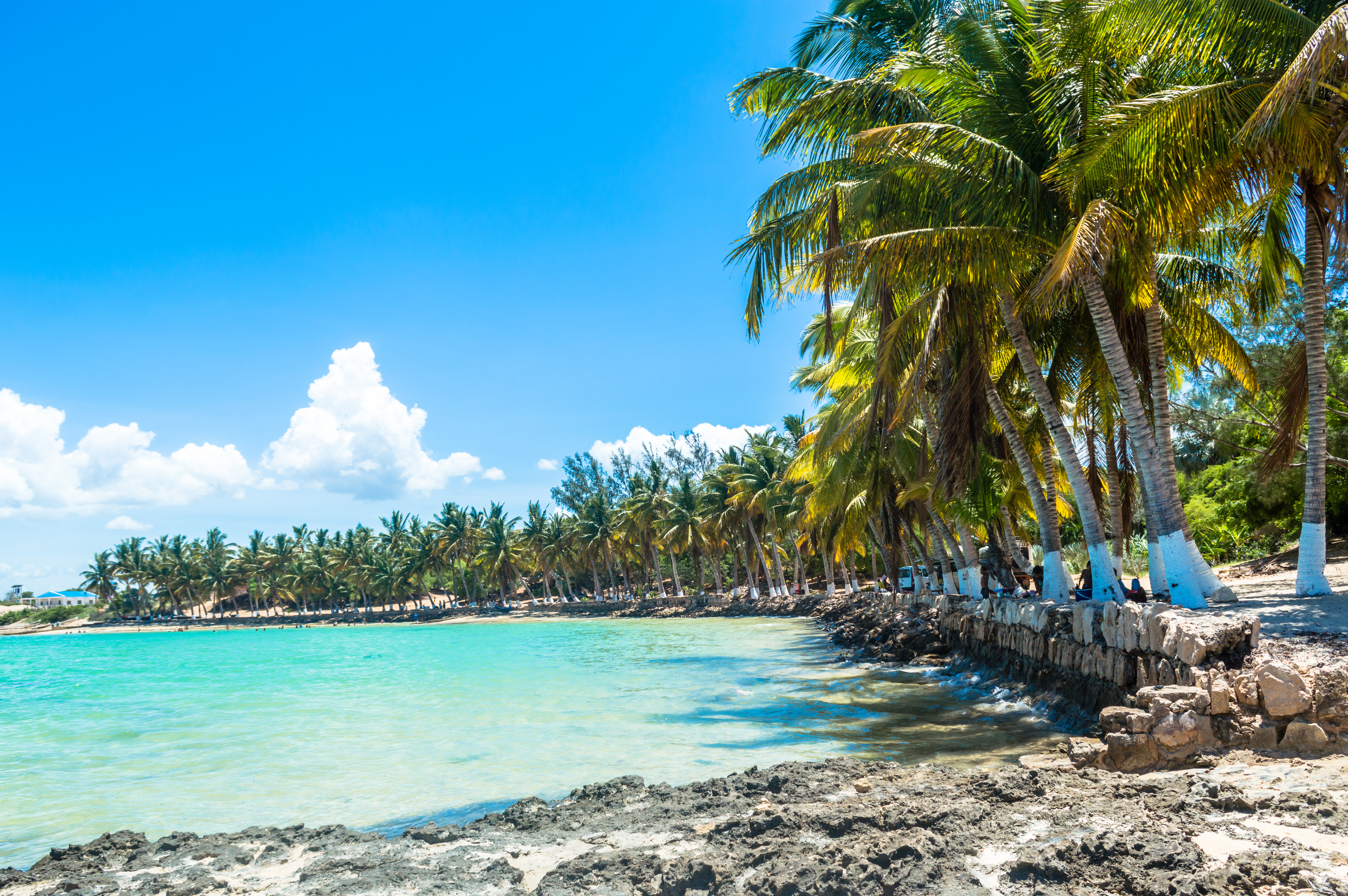 Küstenlandschaft mit Palmen und klarem Wasser an einem sonnigen Tag.