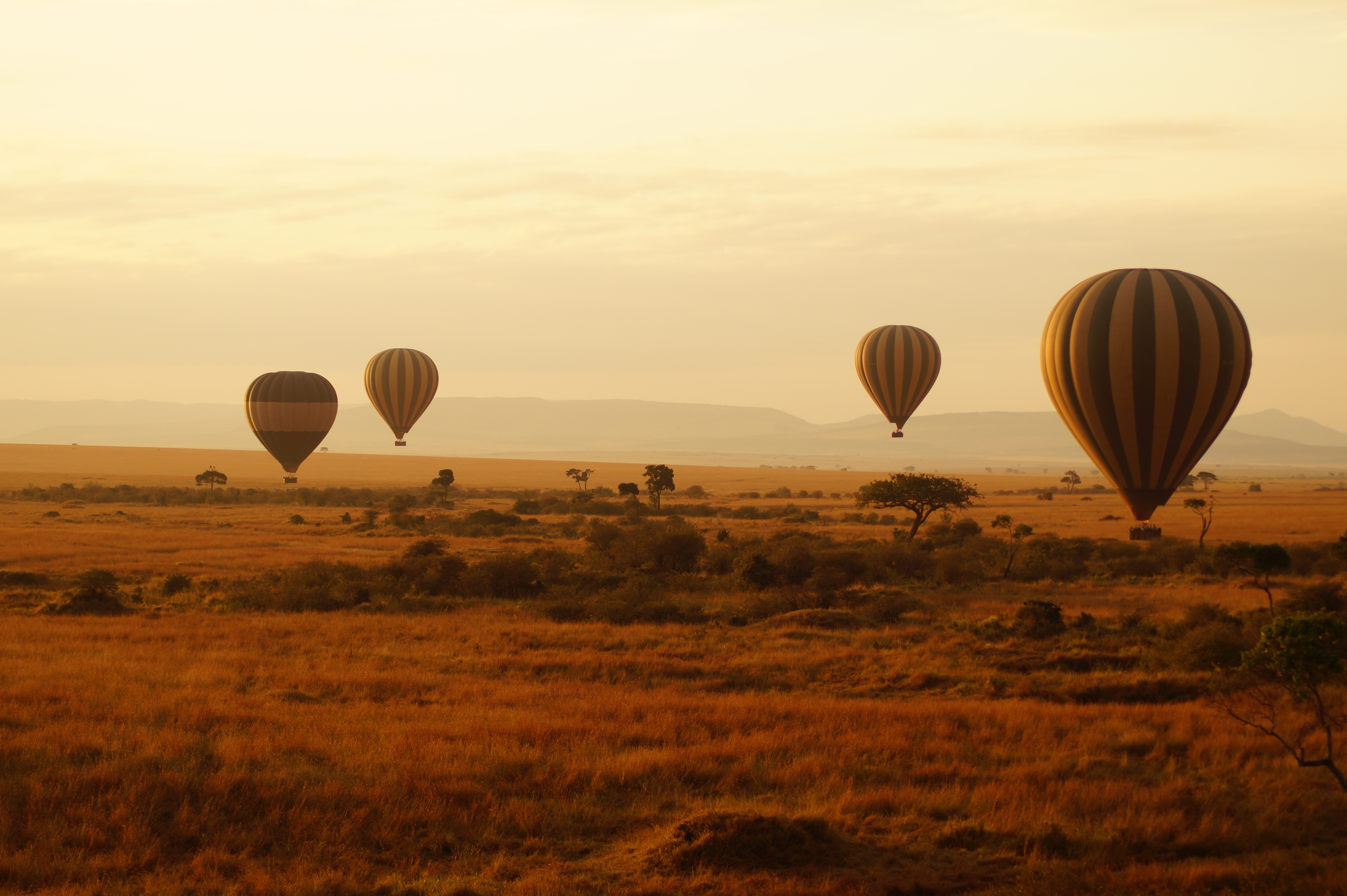 Fünf Heißluftballons mit gestreiften Hüllen steigen über einer weiten, offenen Landschaft auf.