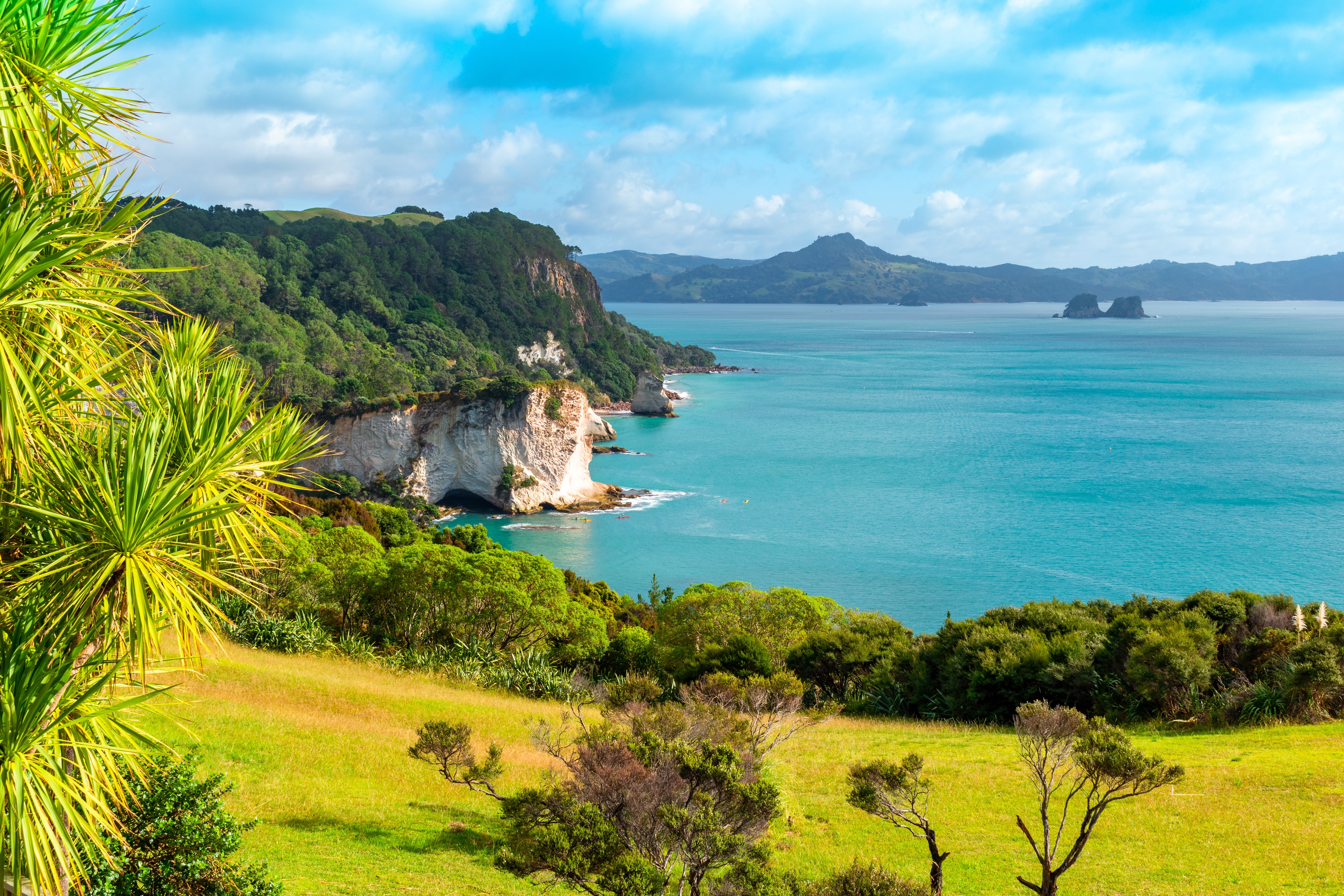 Küstenlandschaft mit grünen Hügeln und klarem Wasser in Neuseeland.