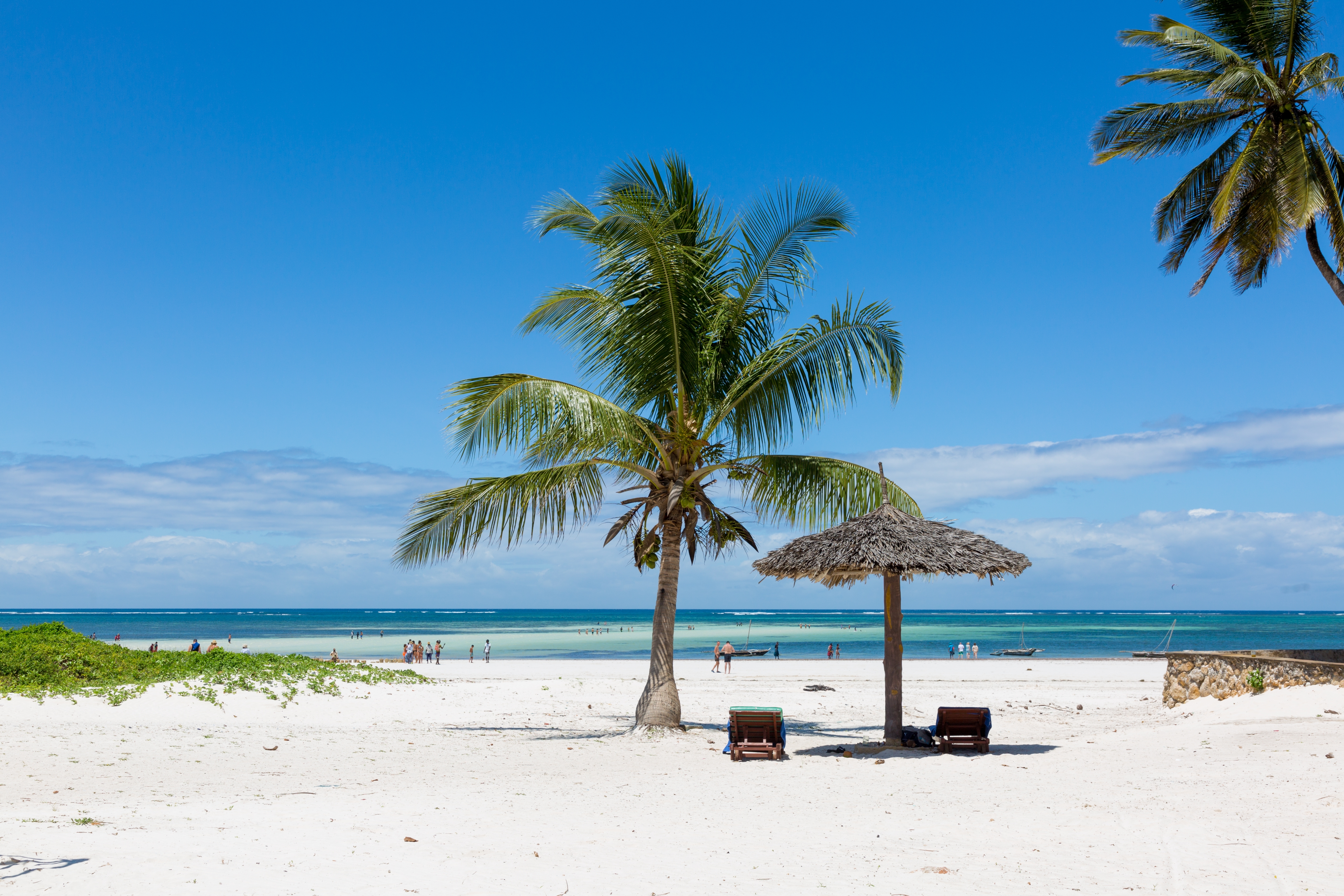 Zwei Liegen unter einem Sonnenschirm auf einem weißen Sandstrand mit Palmen und klarem blauen Himmel.