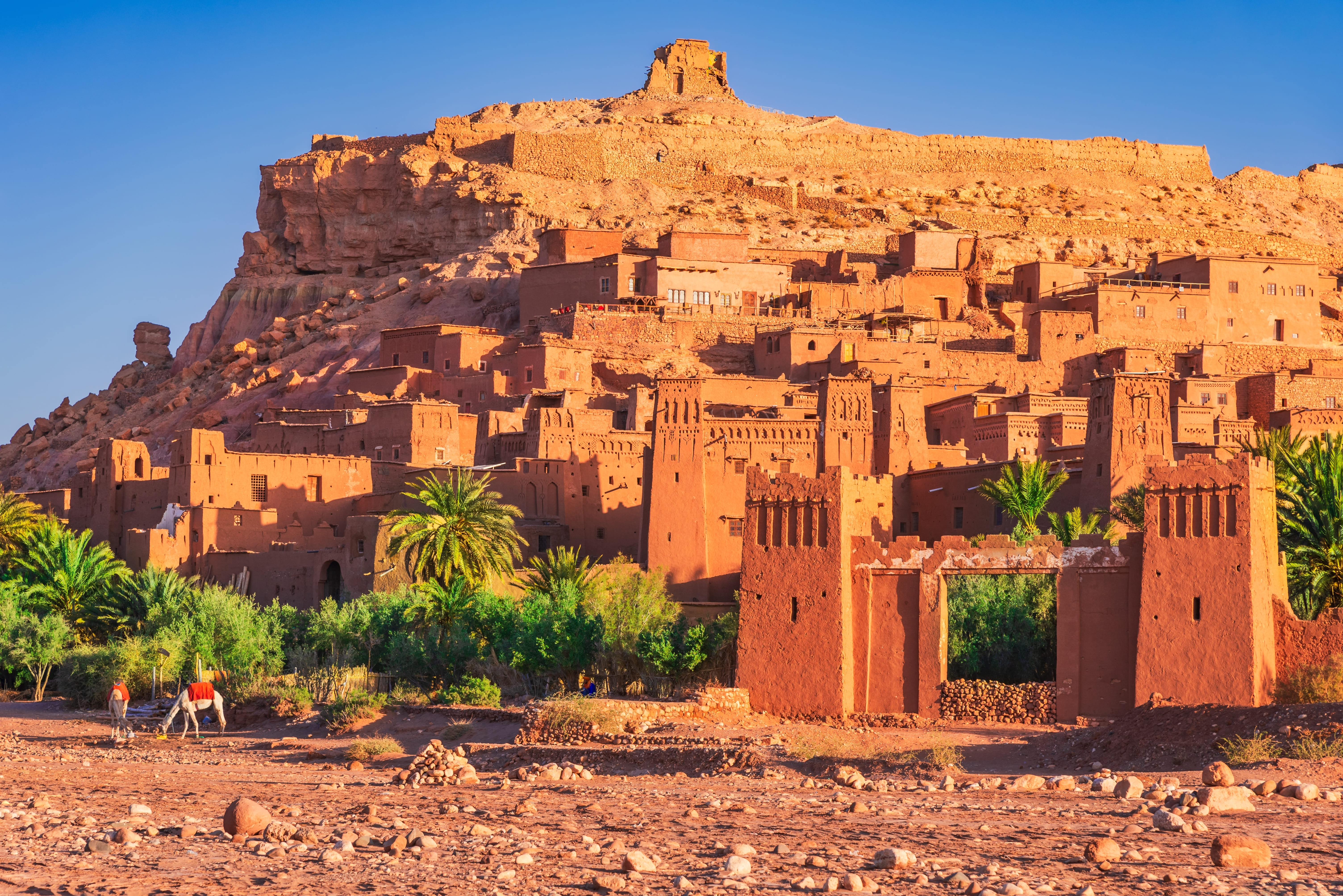 Historische Lehmbauten in der Nähe eines Berges mit Palmen im Vordergrund.
