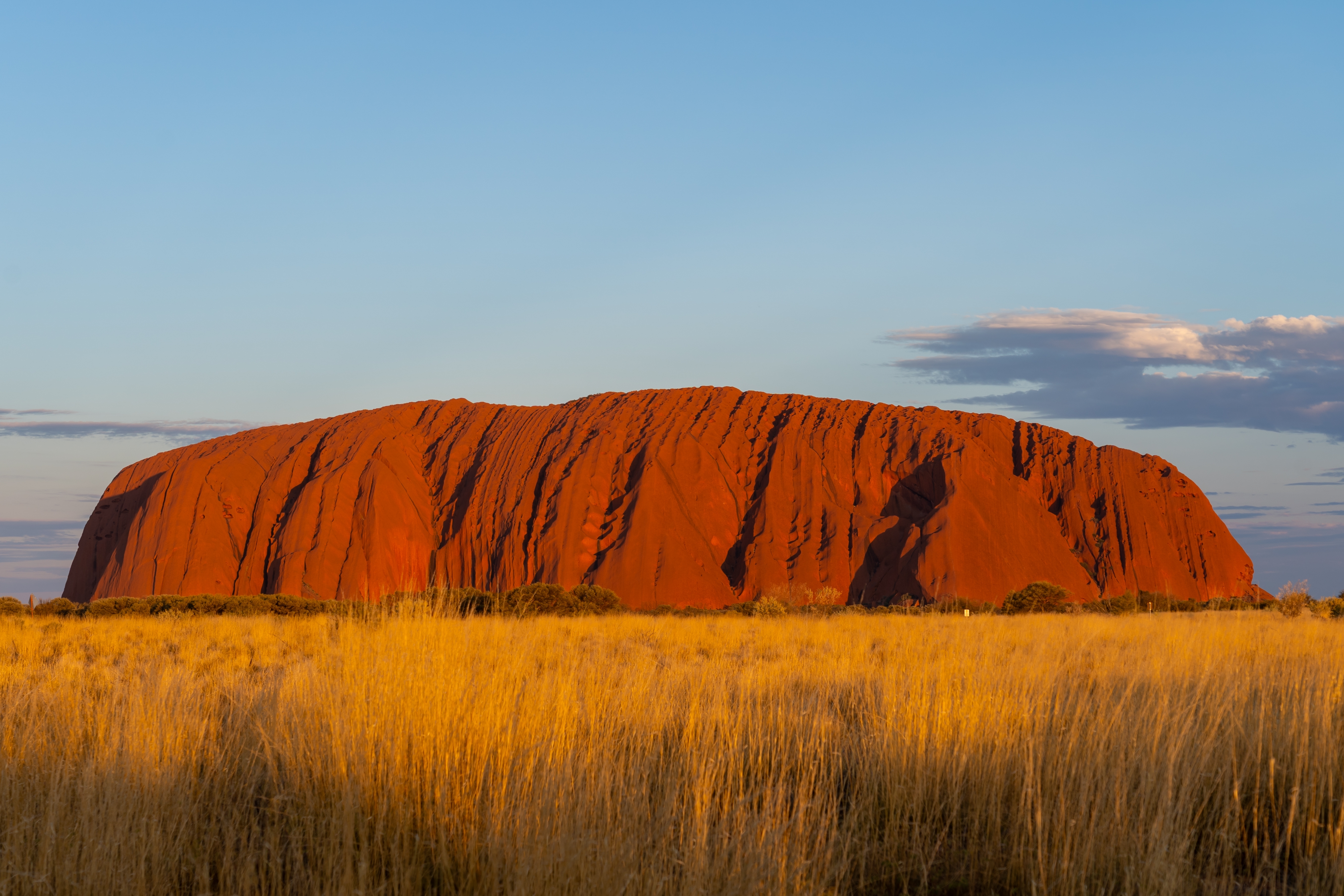 Uluru, ein großer roter Felsen in Australien, umgeben von Graslandschaft und blauem Himmel.
