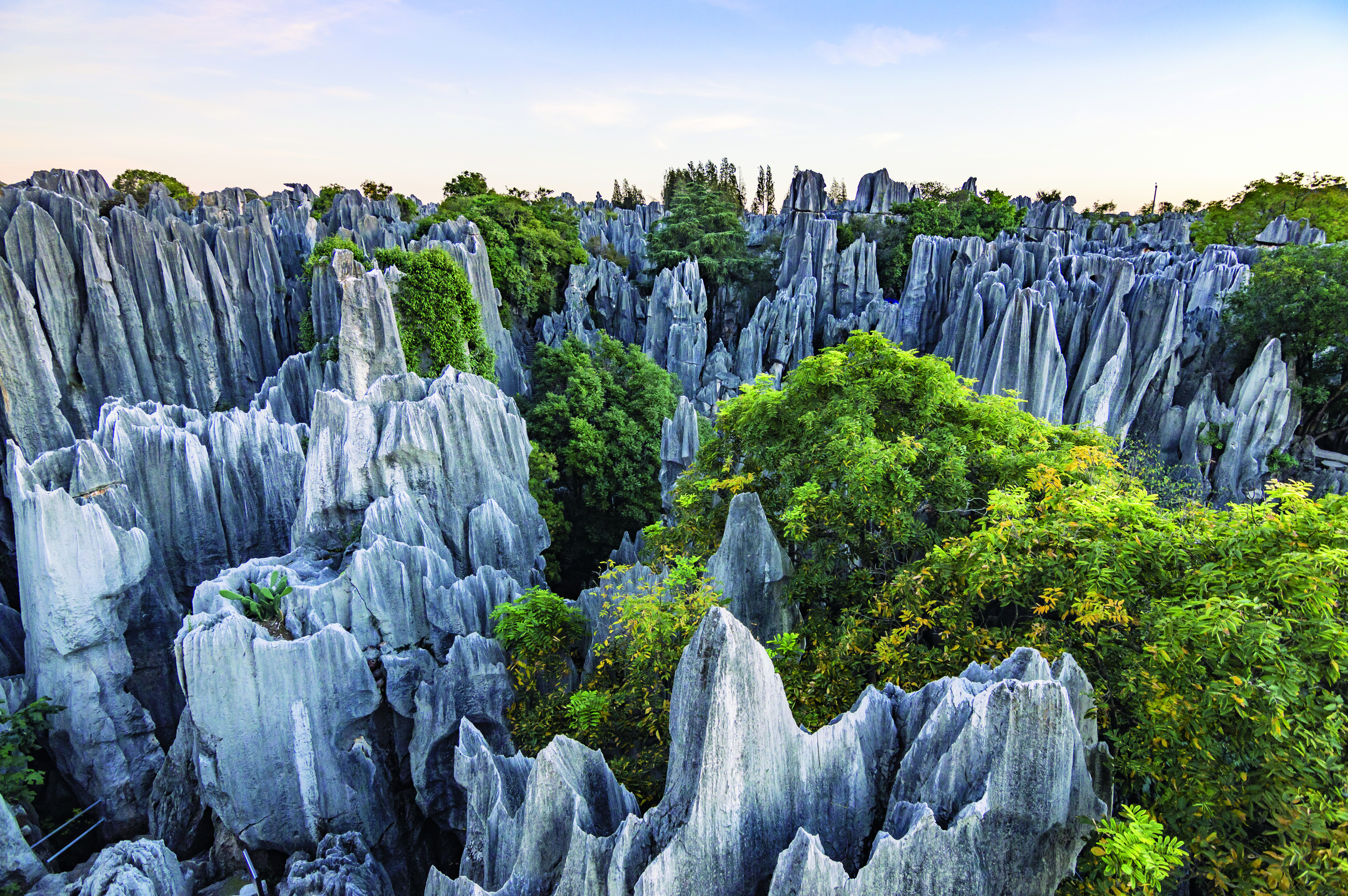 Eine beeindruckende Landschaft mit schroffen, spitzen Felsen und üppigem Grün in der Umgebung.