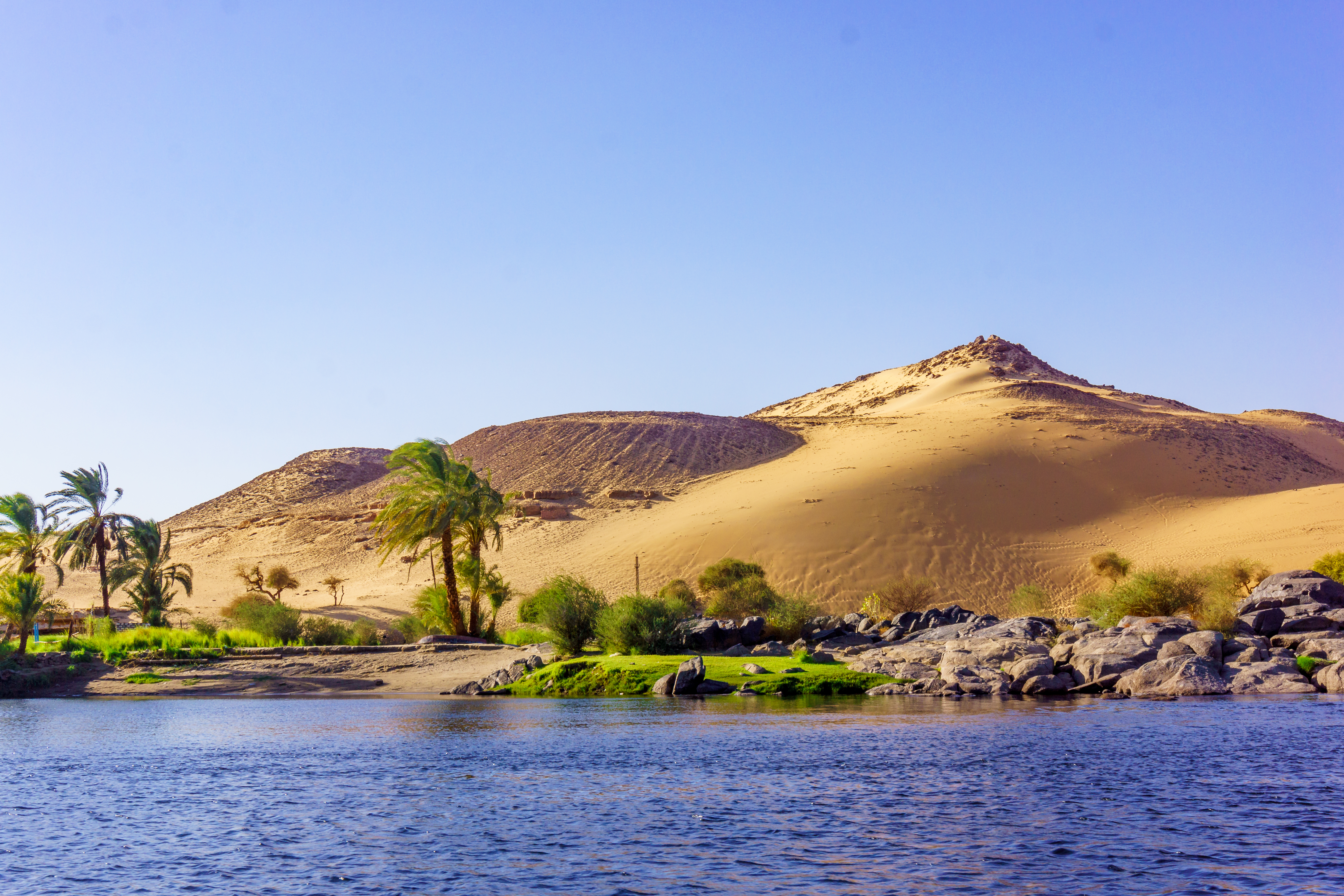 Sanddünen und Palmen am Ufer eines Gewässers in einer Wüstenlandschaft.