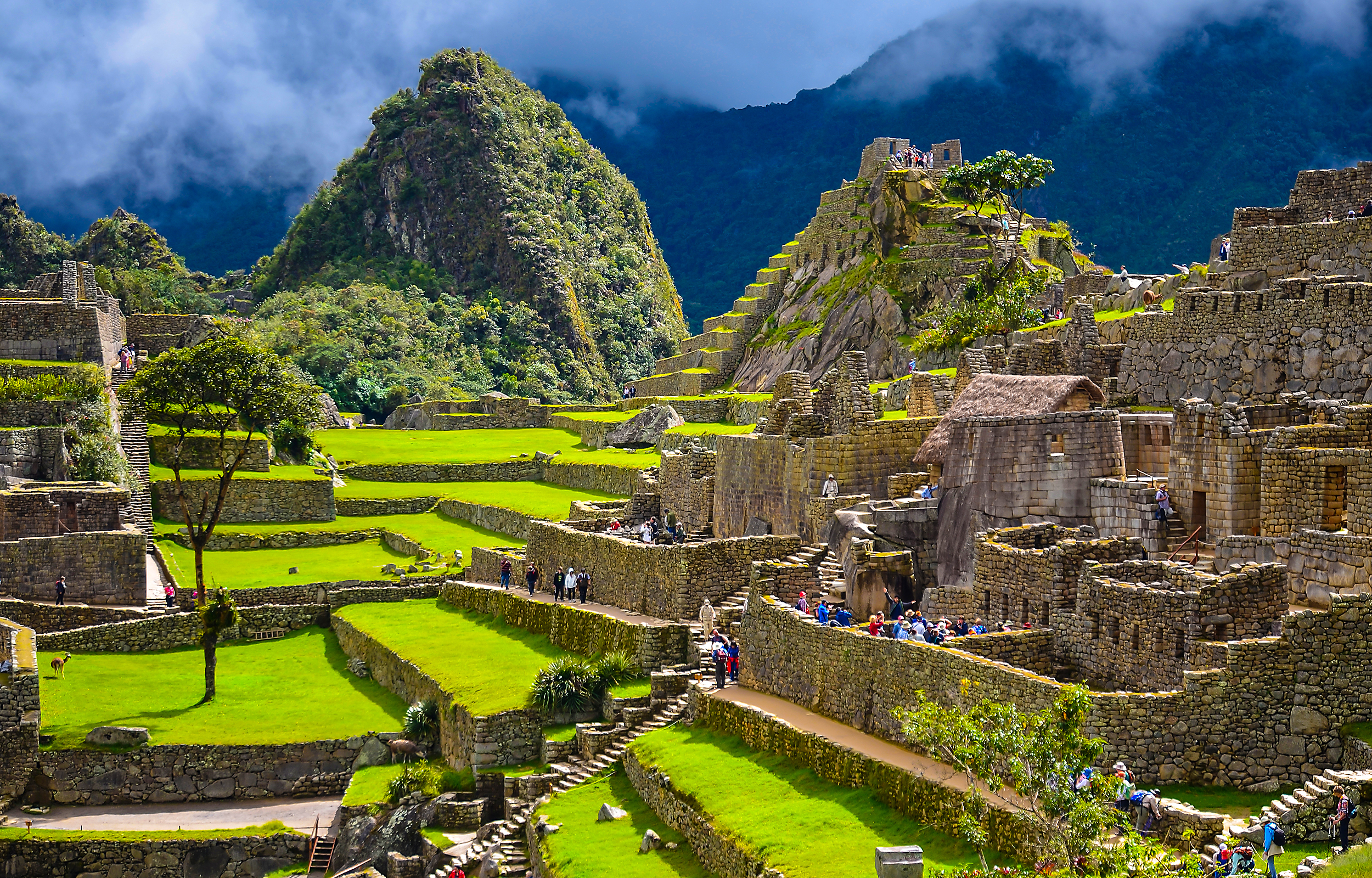Machu Picchu mit grünen Terrassen und steinernen Strukturen unter einem bewölkten Himmel.