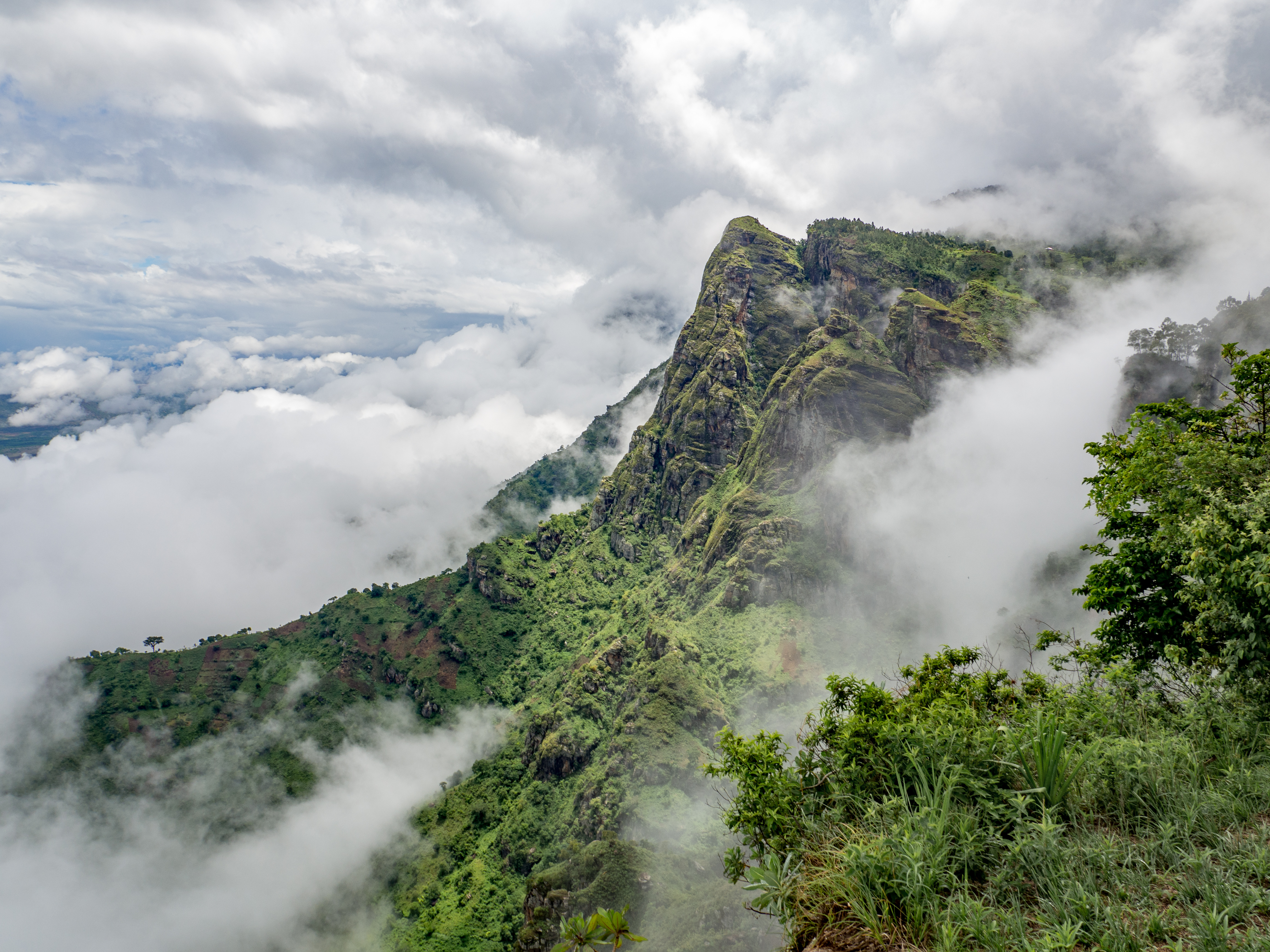 Grüne Berglandschaft mit Nebel und Wolken, die die Gipfel umhüllen.